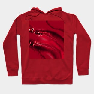 Red Pool Hoodie